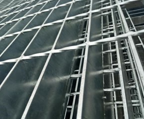 热草莓视频污污污网站